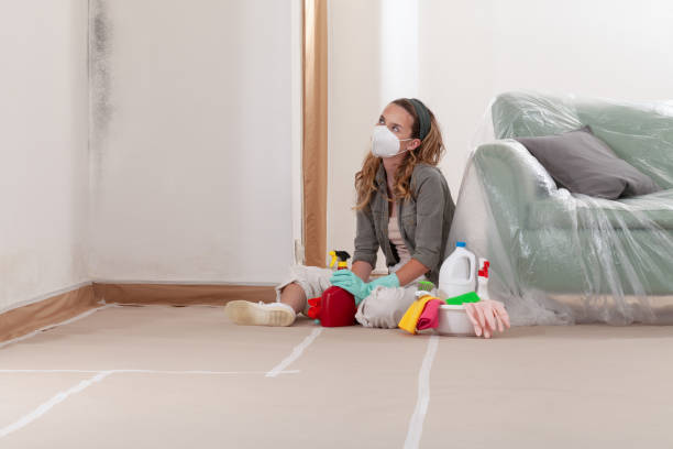 Trusted Commercial Mold Remediation service in Furlong, PA - WQB Mold Removal
